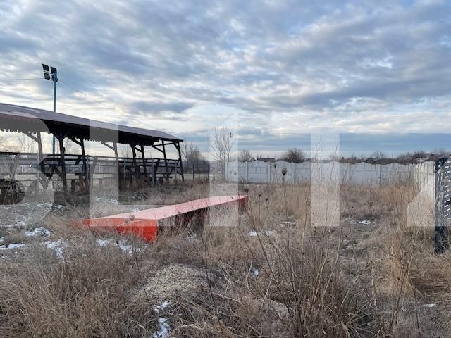 Teren de vânzare Pielești - 133822TV | BLITZ Craiova | Poza2