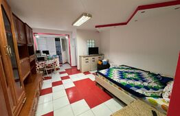 Garsoniera parter, 28mp, cartier Brazda