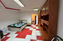 Garsoniera parter, 28mp, cartier Brazda