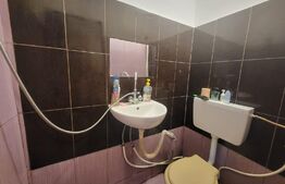 Garsoniera (camera de camin), cartier Valea Rosie, 16mp utili