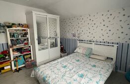 Casa Damila 555mp, 180 mp + 75 mp, gata de locuit 