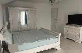 Casa Damila 555mp, 180 mp + 75 mp, gata de locuit 