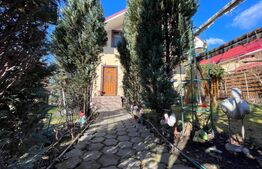 Casa P+M de familie gata de mutat Malu Mare 362mp teren