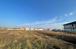 Teren intravilan zona case 600 mp Simnicul de Jos 