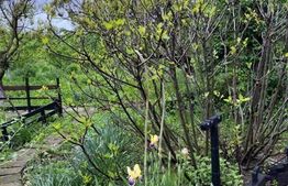 Casa țăraneasca cu 3336 mp teren aproape de Craiova