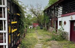 Casa țăraneasca cu 3336 mp teren aproape de Craiova