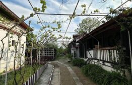 Casa țăraneasca cu 3336 mp teren aproape de Craiova