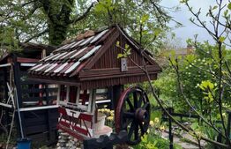 Casa țăraneasca cu 3336 mp teren aproape de Craiova