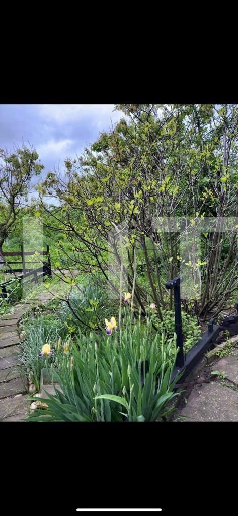 Casa de vânzare 4 camere Exterior Sud - 133995CV | BLITZ Craiova | Poza6