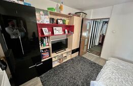 Garsonieră 29mp în Valea Rosie