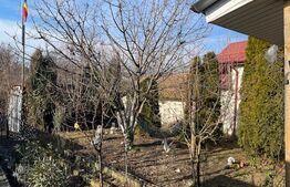 Casă în stil american cu 1314mp de teren aferent situată în localitatea Malu Mare 