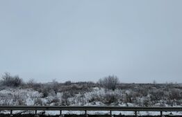 Teren intravilan, 44.421 mp, utilități la front, deschidere de peste 130 m, Cârcea