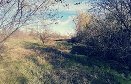 Teren intravilan industrial 27.774 mp, zona CET Ișalniţa!