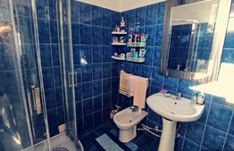 Casa 110 mp utili și 270 mp teren, stradal, zona Gazeta de Sud!