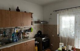 Casă D+P+1 cu teren de 2501mp situată în Craiova în zona de nord