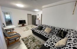Apartament 2 camere 72mp+terasa, zona OMW- Calea Severinului