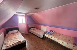 Casa 160 mp utili + un teren de 2500 mp, cartier Carcea