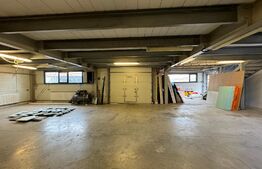 Hale cu spații de producție și birouri 470 mpu, cu teren 550 mp, zona Selgros