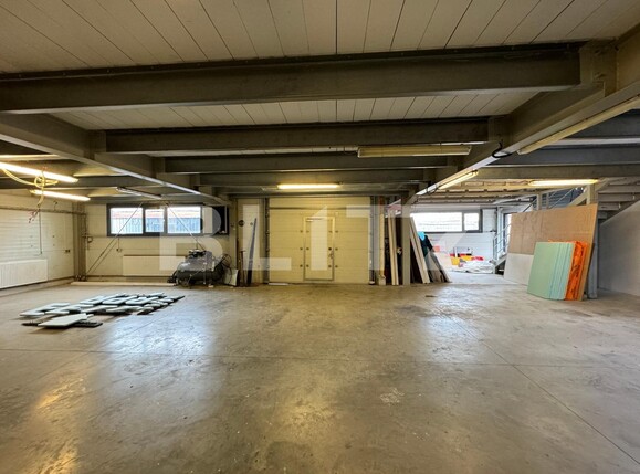 Spațiu industrial de vânzare Sud-Est - 134540SVI | BLITZ Craiova | Poza5