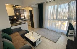 Apartament 3 camere, Calea Severinului, zona Promenada Mall