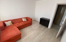 Apartament 3 camere, Calea Severinului, zona Promenada Mall
