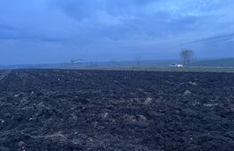 Teren extravilan 10.000 mp, toate utilitatile, facilitati in zona