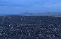 Teren extravilan 10.000 mp, toate utilitatile, facilitati in zona