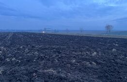 Teren extravilan 10.000 mp, toate utilitatile, facilitati in zona