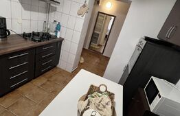 Apartament 3 camere,  Rovine, zona Borcanul cu Miere