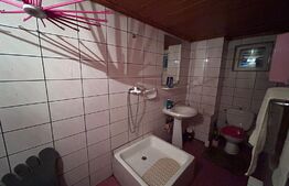 Casa cu 12 camere, 393 mp, zona Facultatii de Medicina si Farmacie