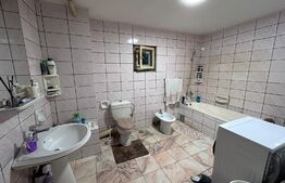 Casa cu 12 camere, 393 mp, zona Facultatii de Medicina si Farmacie