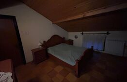 Casa cu 12 camere, 393 mp, zona Facultatii de Medicina si Farmacie