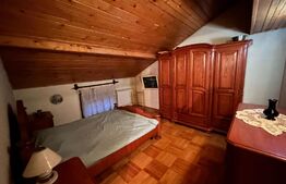 Casa cu 12 camere, 393 mp, zona Facultatii de Medicina si Farmacie