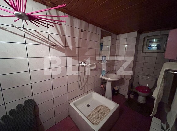 Casa de închiriat 12 camere 1 Mai - 134637CI | BLITZ Craiova | Poza18
