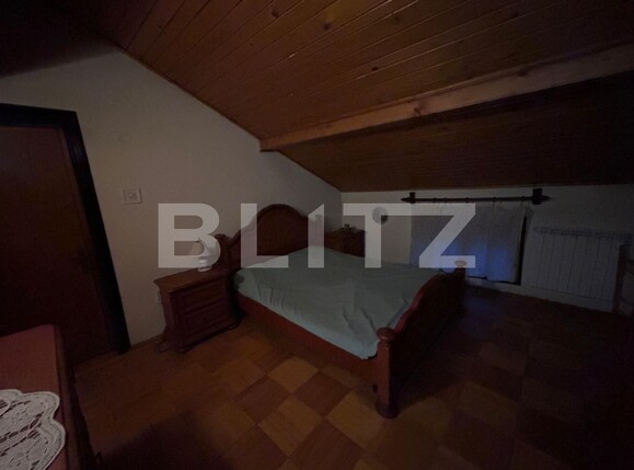 Casa de închiriat 12 camere 1 Mai - 134637CI | BLITZ Craiova | Poza13