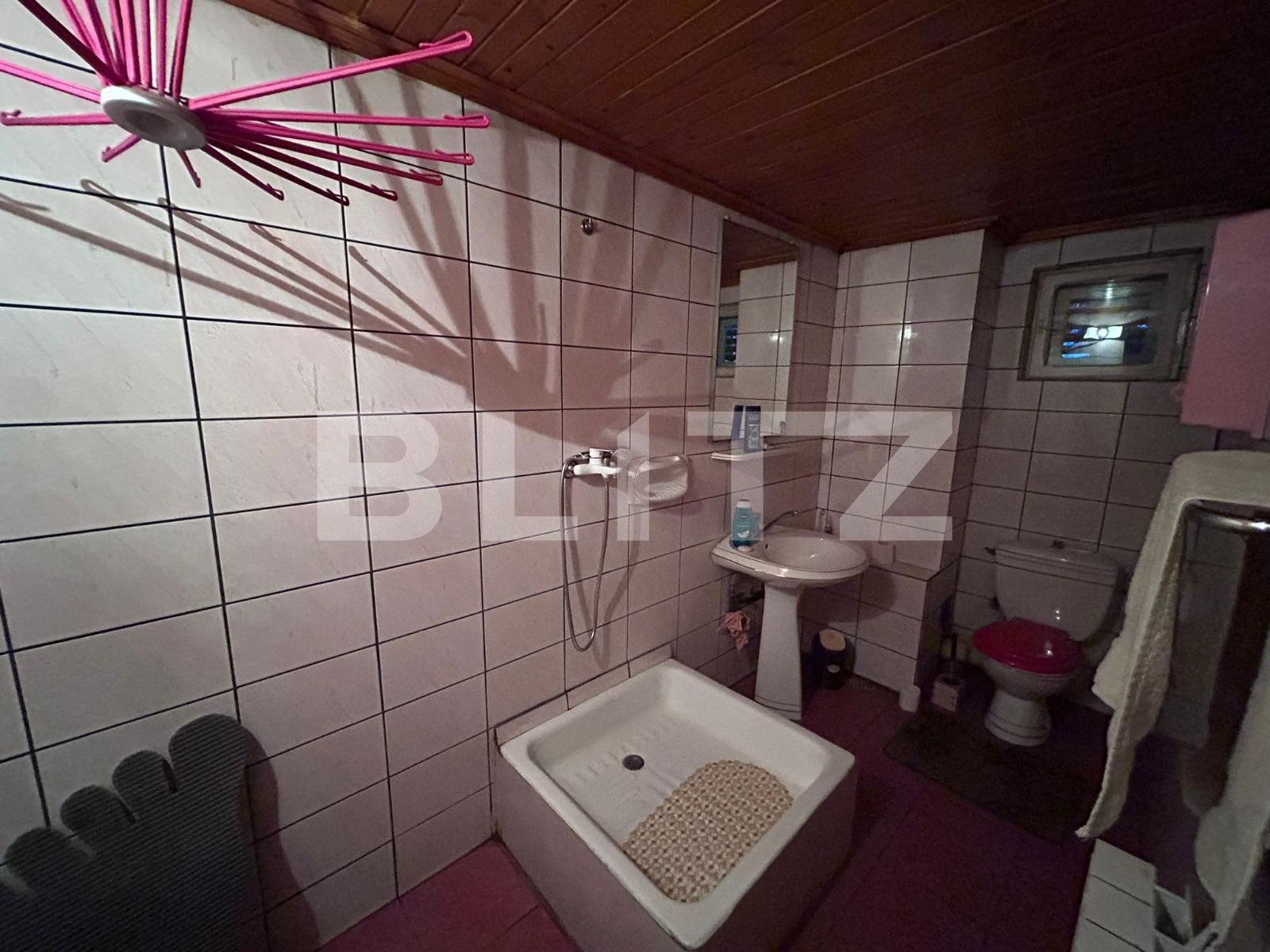 Casa de închiriat 12 camere 1 Mai - 134637CI | BLITZ Craiova | Poza18
