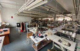 Clădire cu destinație mixta, 1405 mp suprafață utila, zona Lăpuș