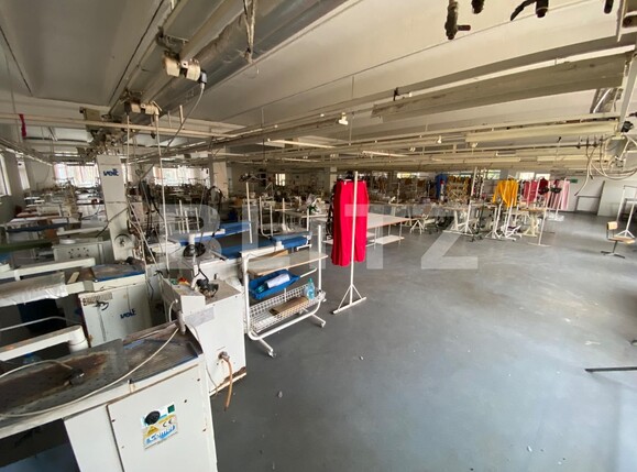 Spațiu comercial de închiriat Lapus Arges - 134725SIC | BLITZ Craiova | Poza4