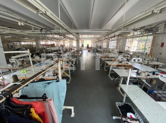 Spațiu comercial de închiriat Lapus Arges - 134725SIC | BLITZ Craiova | Poza2