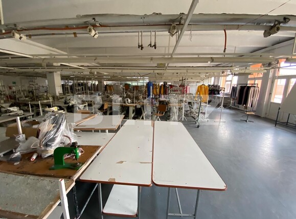 Spațiu comercial de închiriat Lapus Arges - 134725SIC | BLITZ Craiova | Poza5