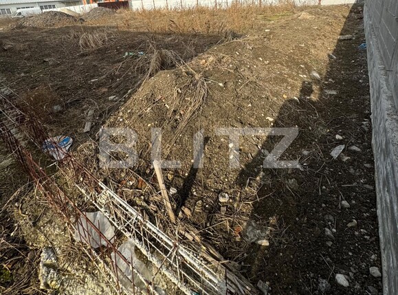 Teren de vânzare Balta Verde - 134792TV | BLITZ Craiova | Poza2