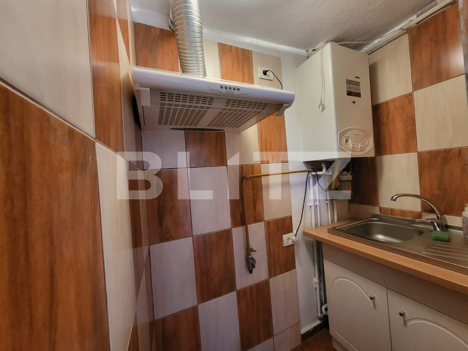 Apartament de vânzare 3 camere Lapus Arges - 134826AV | BLITZ Craiova | Poza7