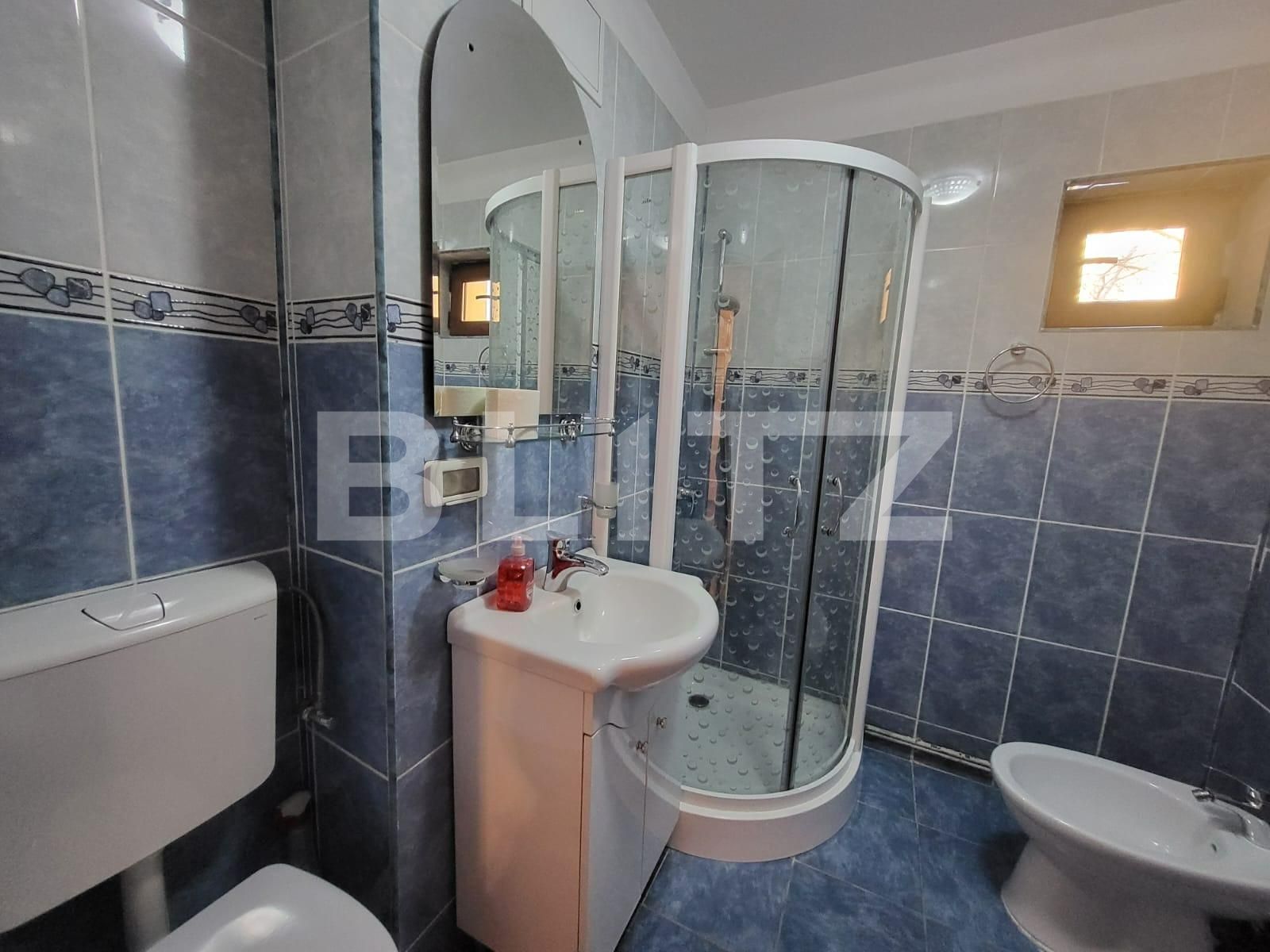 Apartament de vânzare 3 camere Lapus Arges - 134826AV | BLITZ Craiova | Poza5