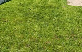 Casa P+1E, 146mp utili, teren de 400mp, Damila!