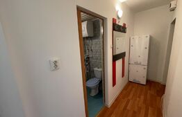Apartament 2 camere nemobilat,32 mp utili, zona Piata din Valea Rosie