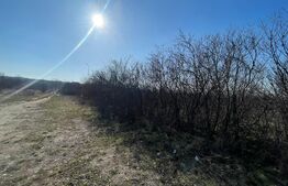 Teren intravilan, 1800 mp, facilitati in zona