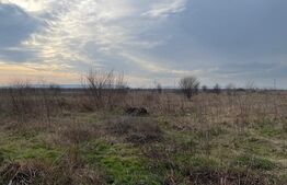 Teren intravilan de 9000 mp cu toate utilitățile, situat în zona Craiova Sud