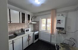 Apartament cu 3 camere,67 mp utili,  zona Lapus