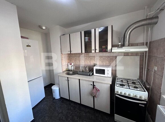 Apartament de închiriat 3 camere Lapus Arges - 135097AI | BLITZ Craiova | Poza8