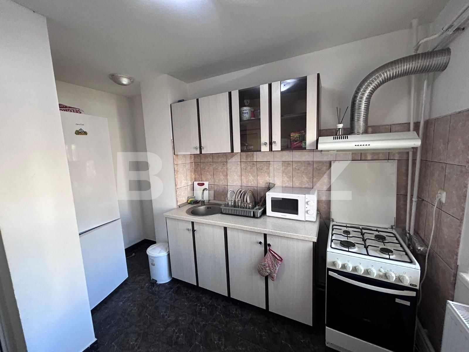 Apartament de închiriat 3 camere Lapus Arges - 135097AI | BLITZ Craiova | Poza8